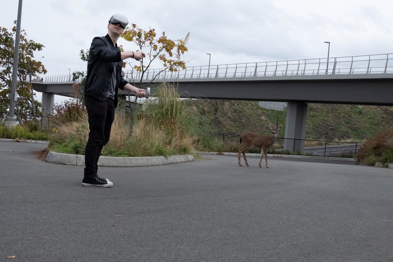 Pexels Photo 5881144